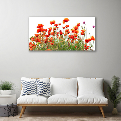 Canvas Wall art Poppies nature red