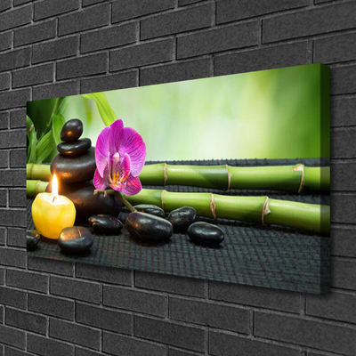 Canvas Wall art Bamboo flower stones candle art green pink black yellow