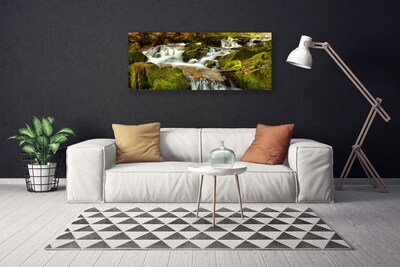 Canvas Wall art Waterfall rocks nature white green
