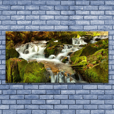 Canvas Wall art Waterfall rocks nature white green