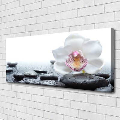 Canvas Wall art Flower stones art white black