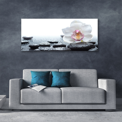 Canvas Wall art Flower stones art white black