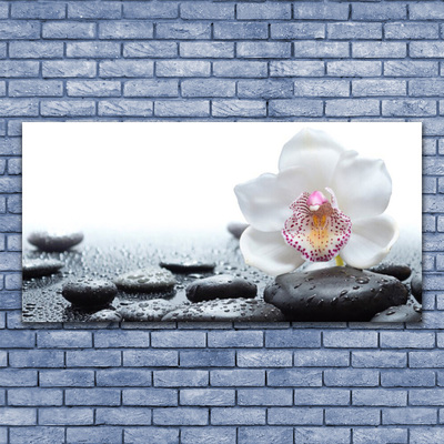 Canvas Wall art Flower stones art white black