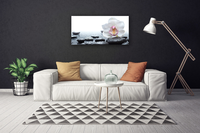 Canvas Wall art Flower stones art white black