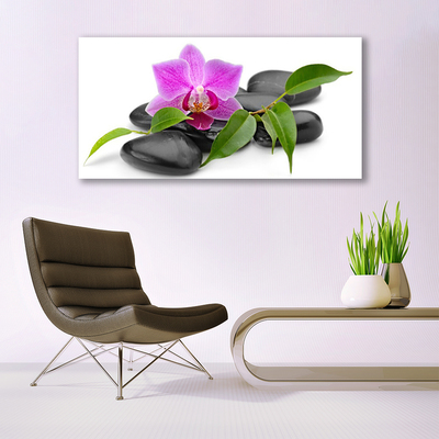 Canvas Wall art Flower stones art pink black