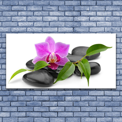 Canvas Wall art Flower stones art pink black