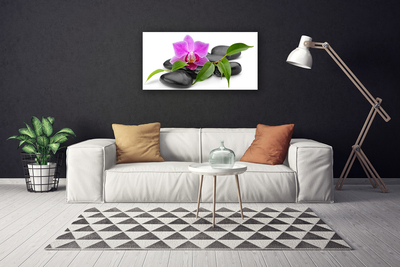 Canvas Wall art Flower stones art pink black