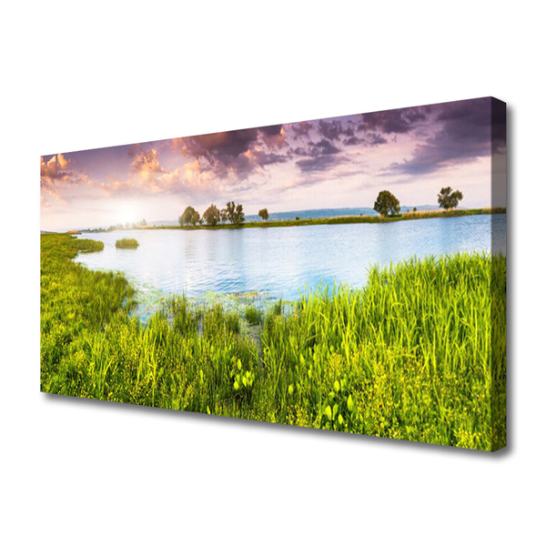 Canvas Wall art Grass lake nature green blue