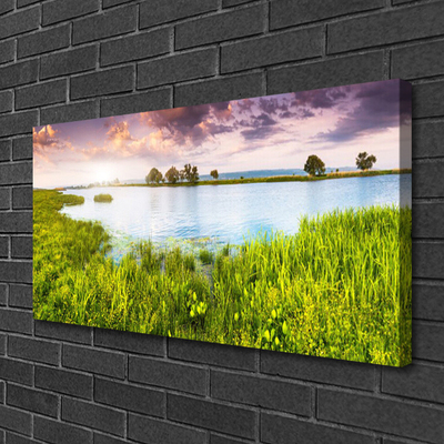 Canvas Wall art Grass lake nature green blue