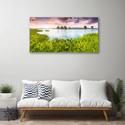 Canvas Wall art Grass lake nature green blue