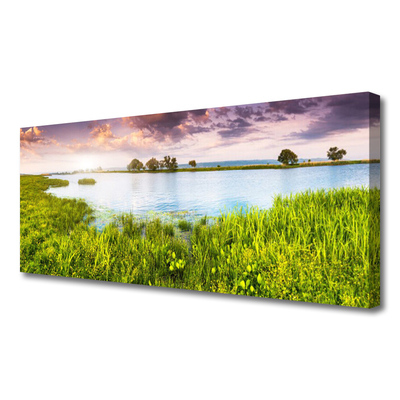 Canvas Wall art Grass lake nature green blue