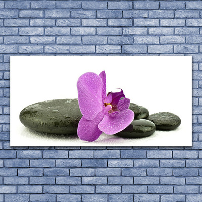 Canvas Wall art Flower stones art pink black