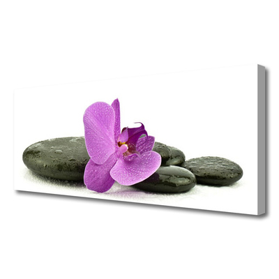 Canvas Wall art Flower stones art pink black