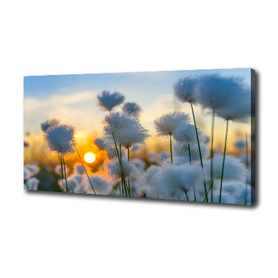 Canvas Wall art Flowers floral white