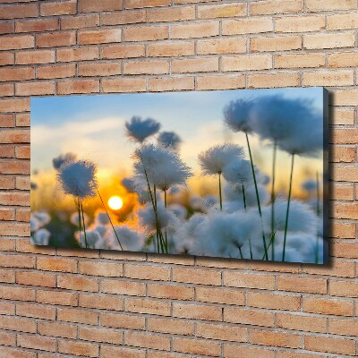 Canvas Wall art Flowers floral white