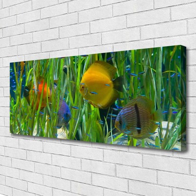 Canvas Wall art Fish nature yellow