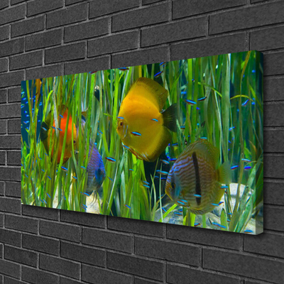 Canvas Wall art Fish nature yellow