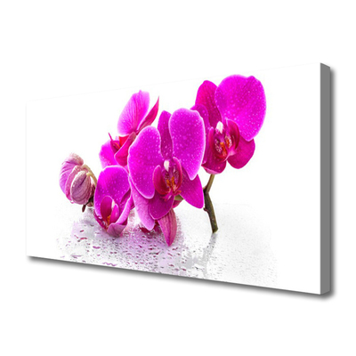 Canvas Wall art Flowers floral pink