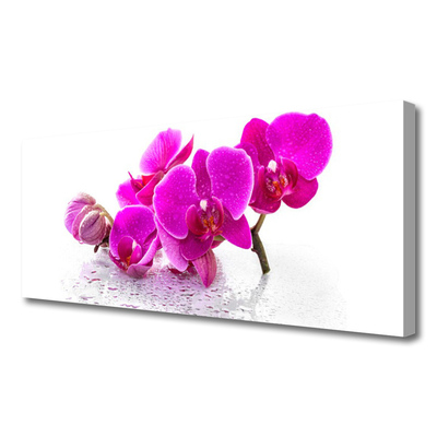 Canvas Wall art Flowers floral pink