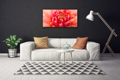 Canvas Wall art Flower floral orange