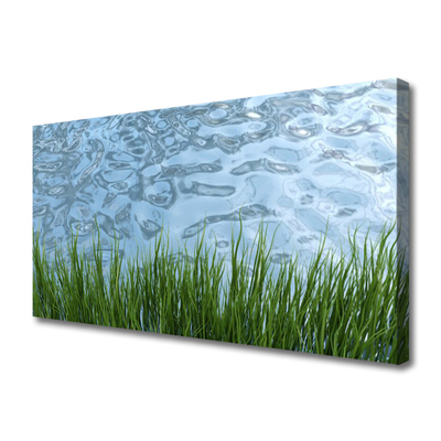 Canvas Wall art Grass water nature green blue