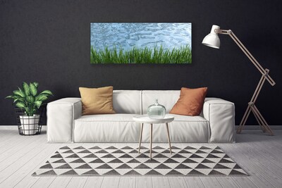 Canvas Wall art Grass water nature green blue