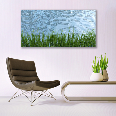 Canvas Wall art Grass water nature green blue