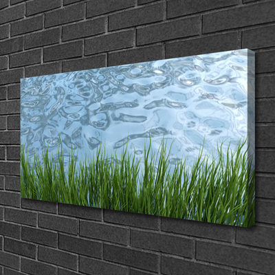 Canvas Wall art Grass water nature green blue