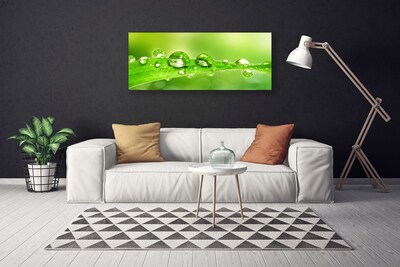 Canvas Wall art Leaf dewdrops floral green