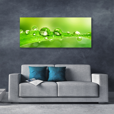 Canvas Wall art Leaf dewdrops floral green