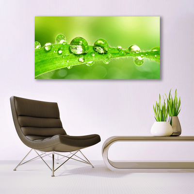 Canvas Wall art Leaf dewdrops floral green