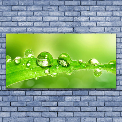 Canvas Wall art Leaf dewdrops floral green