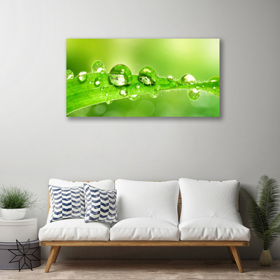 Canvas Wall art Leaf dewdrops floral green