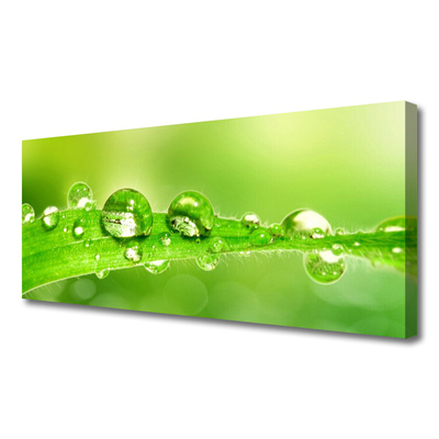 Canvas Wall art Leaf dewdrops floral green