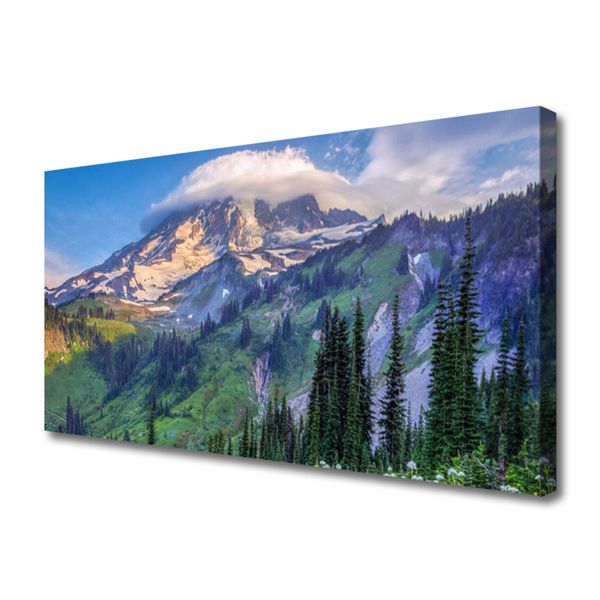 Canvas Wall art Mountain forest landscape grey green