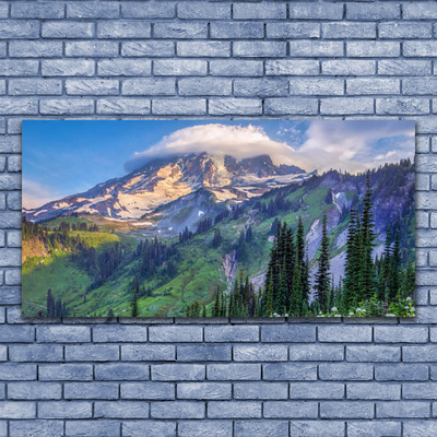 Canvas Wall art Mountain forest landscape grey green