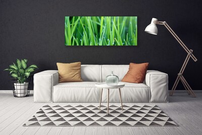 Canvas Wall art Weed nature green