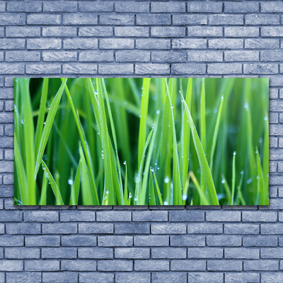 Canvas Wall art Weed nature green