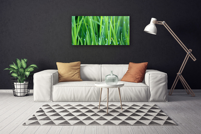 Canvas Wall art Weed nature green