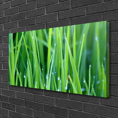 Canvas Wall art Weed nature green