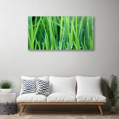 Canvas Wall art Weed nature green