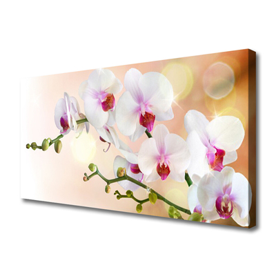 Canvas Wall art Flowers floral white pink