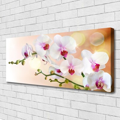 Canvas Wall art Flowers floral white pink