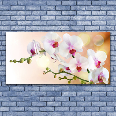 Canvas Wall art Flowers floral white pink