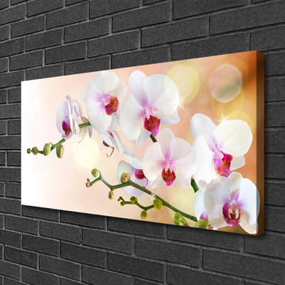 Canvas Wall art Flowers floral white pink