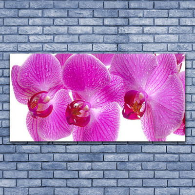 Canvas Wall art Flowers floral pink