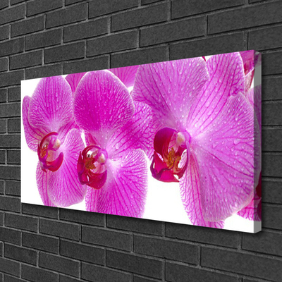 Canvas Wall art Flowers floral pink