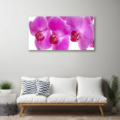 Canvas Wall art Flowers floral pink