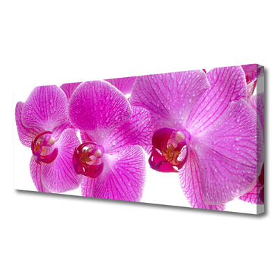 Canvas Wall art Flowers floral pink