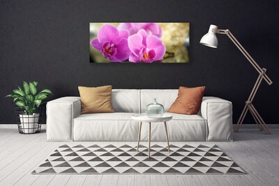 Canvas Wall art Flowers floral pink